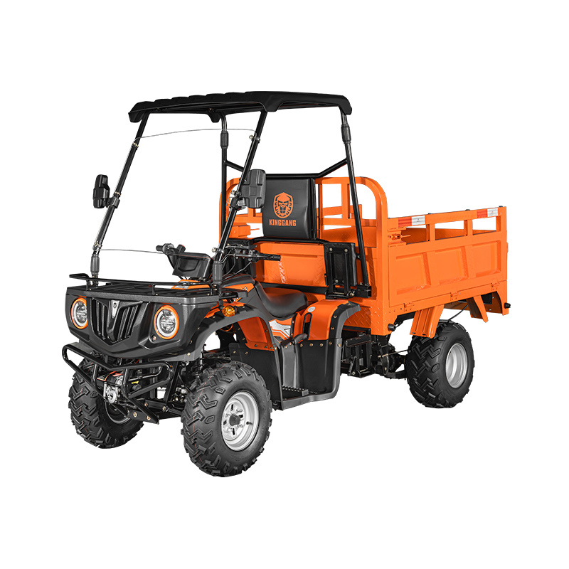 Quad. DL50DU-2WD-1.6. Eléctrico. - Imagen 3